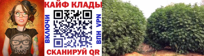 Где продают наркотики Калуга АМФЕТАМИН  МАРИХУАНА 
