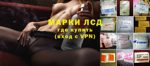 ГАЛЛЮЦИНОГЕННЫЕ ГРИБЫ Карпинск