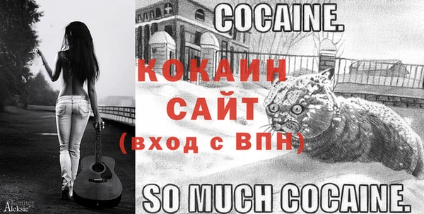 амфетамин Каменка