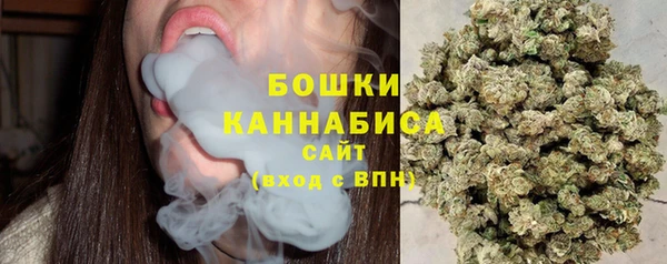 ГАЛЛЮЦИНОГЕННЫЕ ГРИБЫ Карпинск