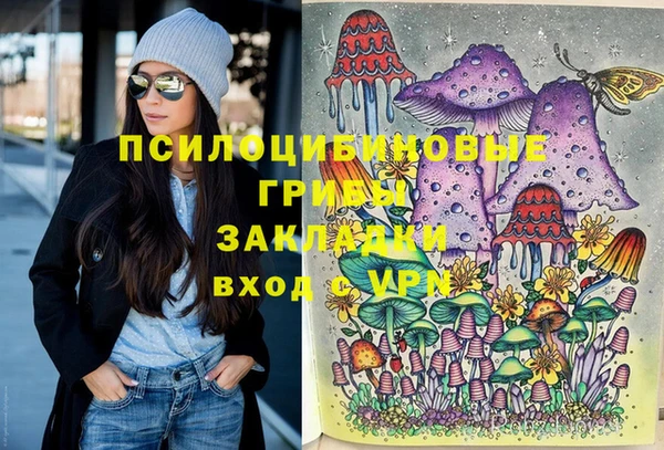 винт Каменногорск