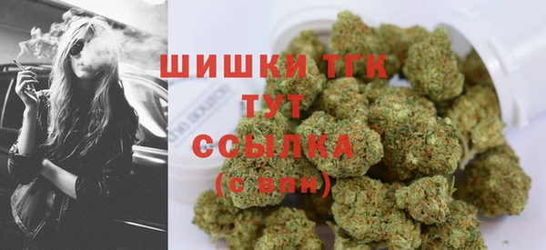 амфетамин Каменка