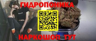 бошки Боровичи