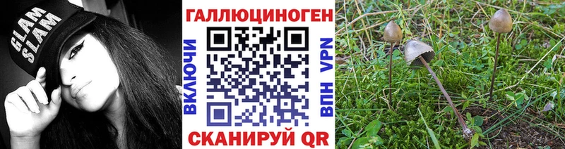 Галлюциногенные грибы GOLDEN TEACHER  Калуга 