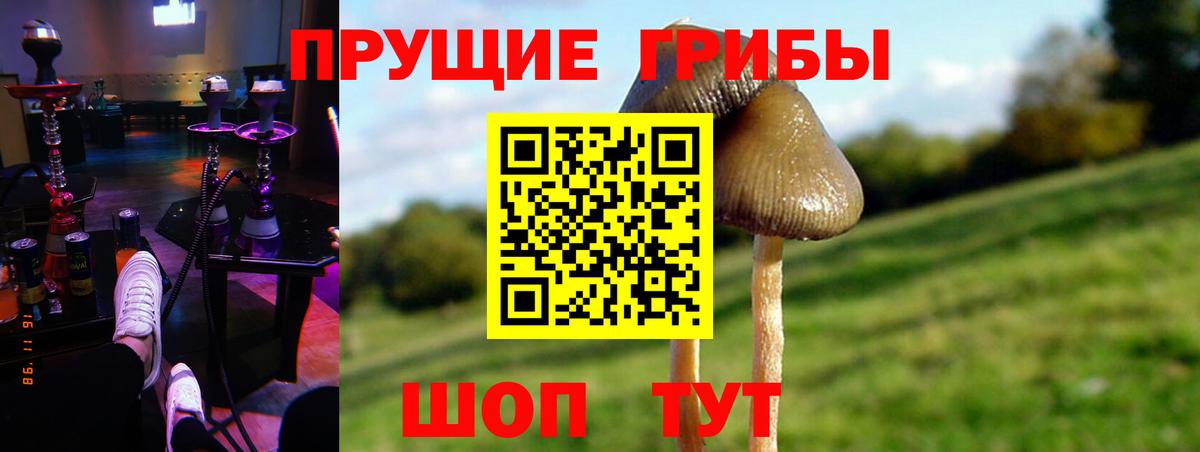 Псилоцибиновые грибы Psilocybe  Вход с VPN  Калуга 